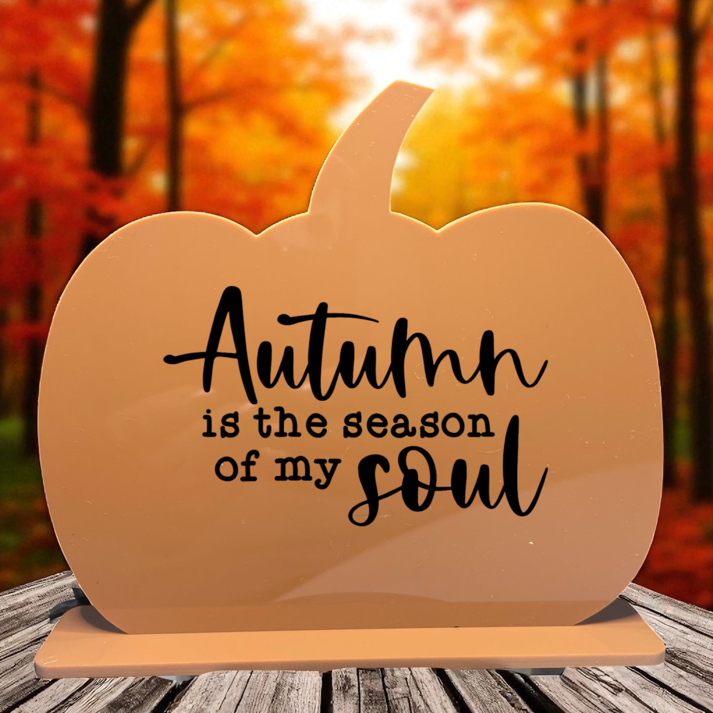 Pumpkin Acrylic On stand