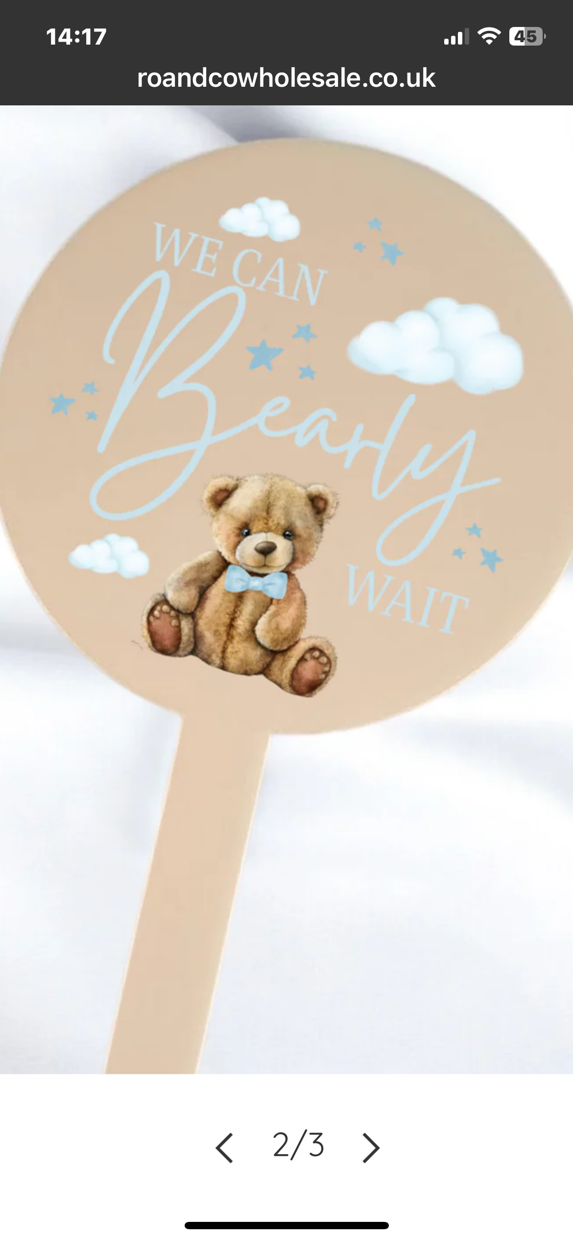 I can Bearly wait to meet you Baby Shower Cake Topper