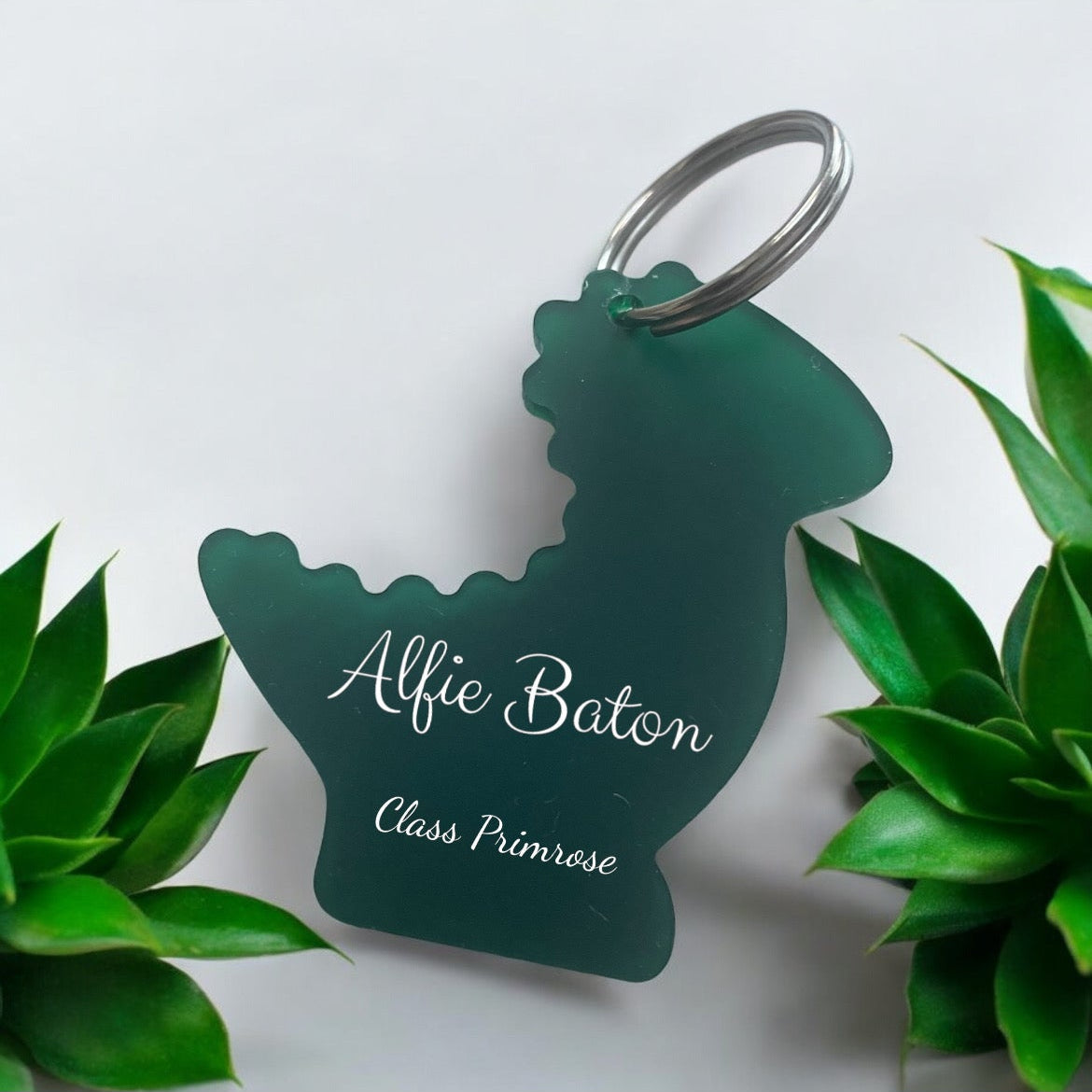 Dino Bag Tags Acrylic Personalised / back to school