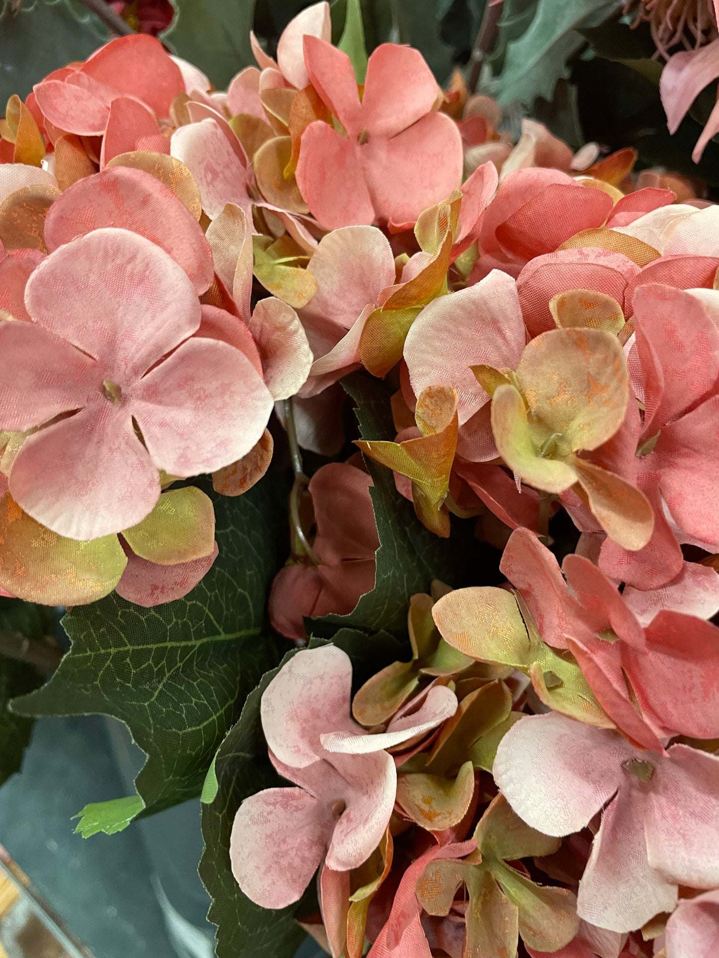 Hydrangea Flowers