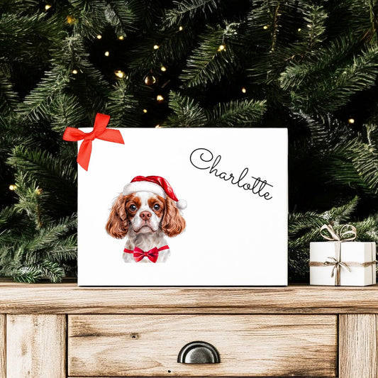 Dog Christmas Box