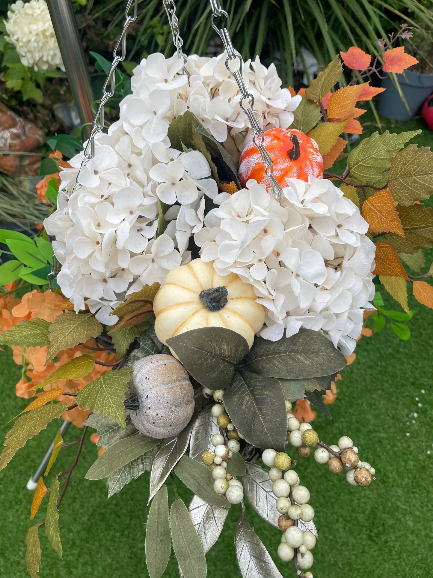 Pumpkin surprise Hanging basket