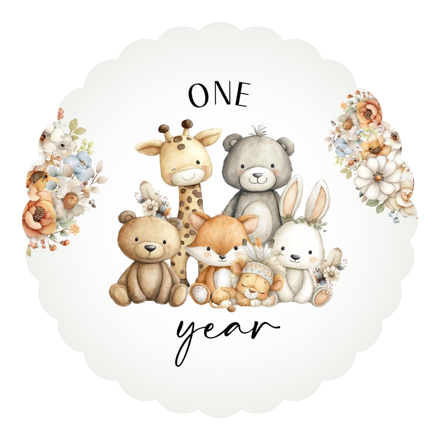 Baby Milestone Discs set of 14
