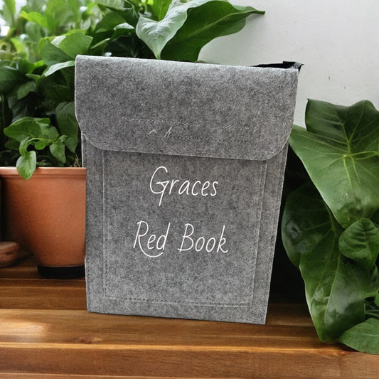 Red Book Holder