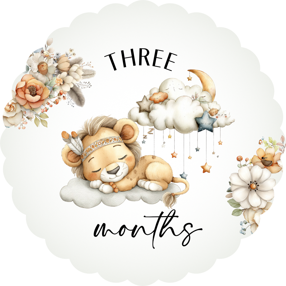 Baby Milestone Discs set of 14
