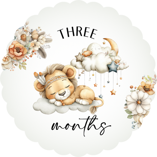 Baby Milestone Discs set of 14