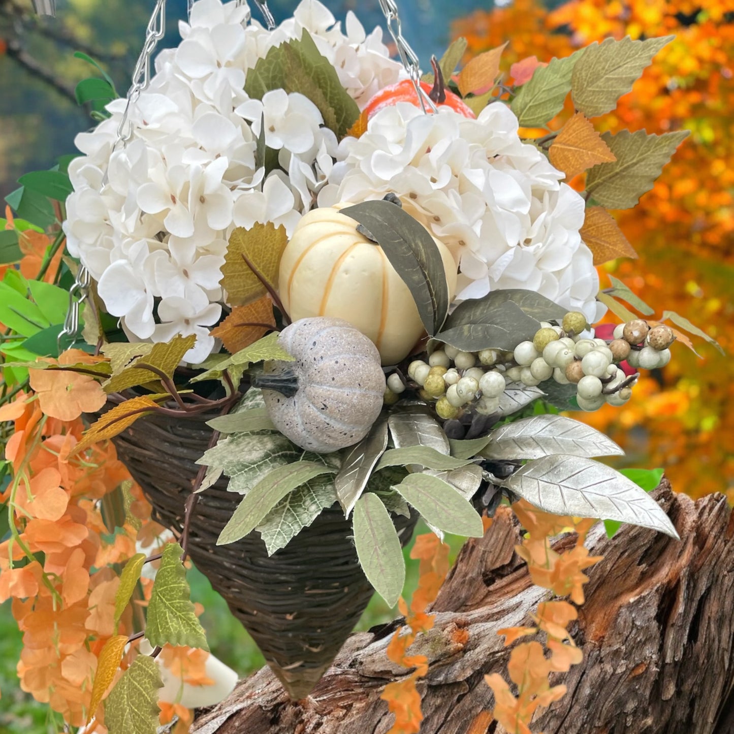 Pumpkin surprise Hanging basket