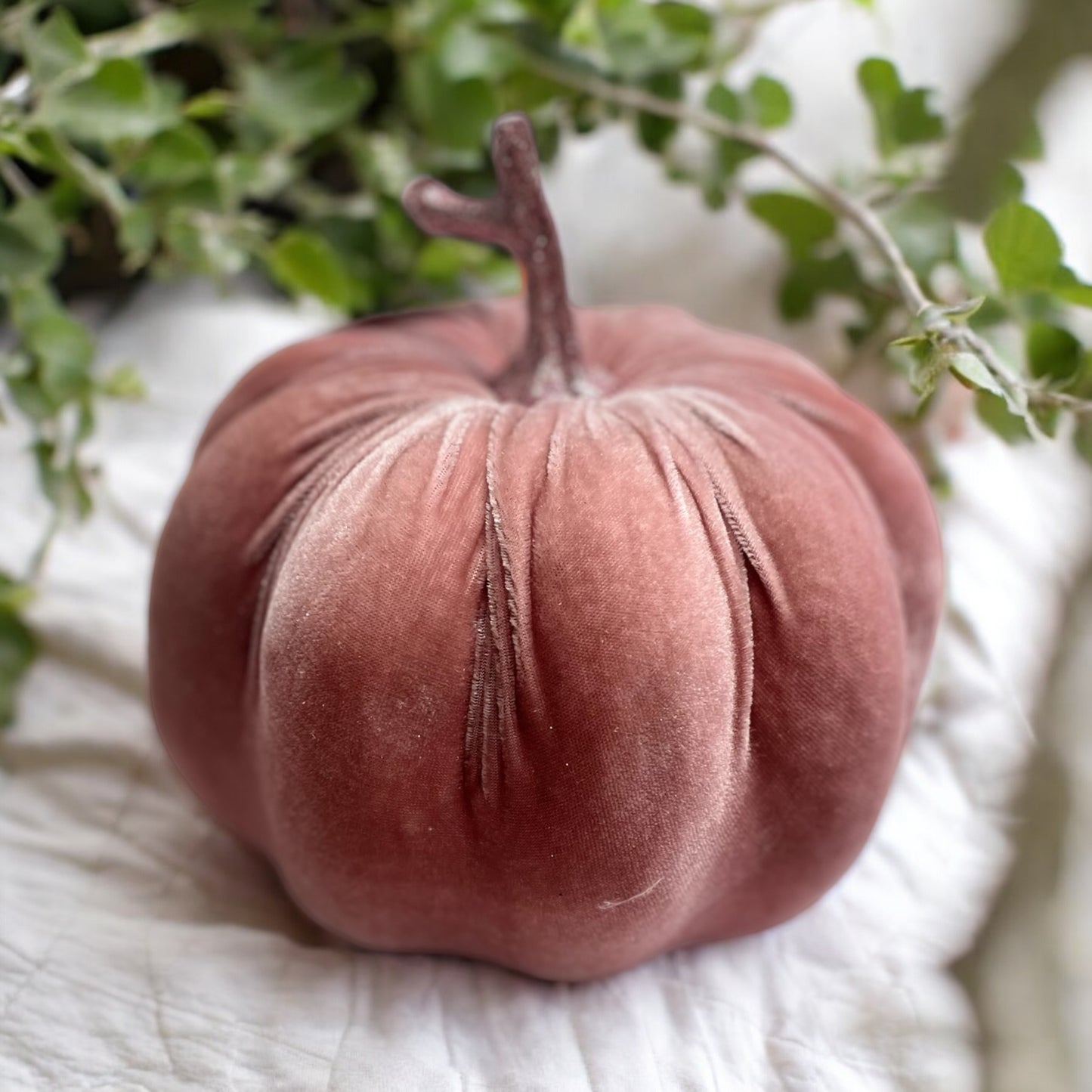 Blush large pumpkin