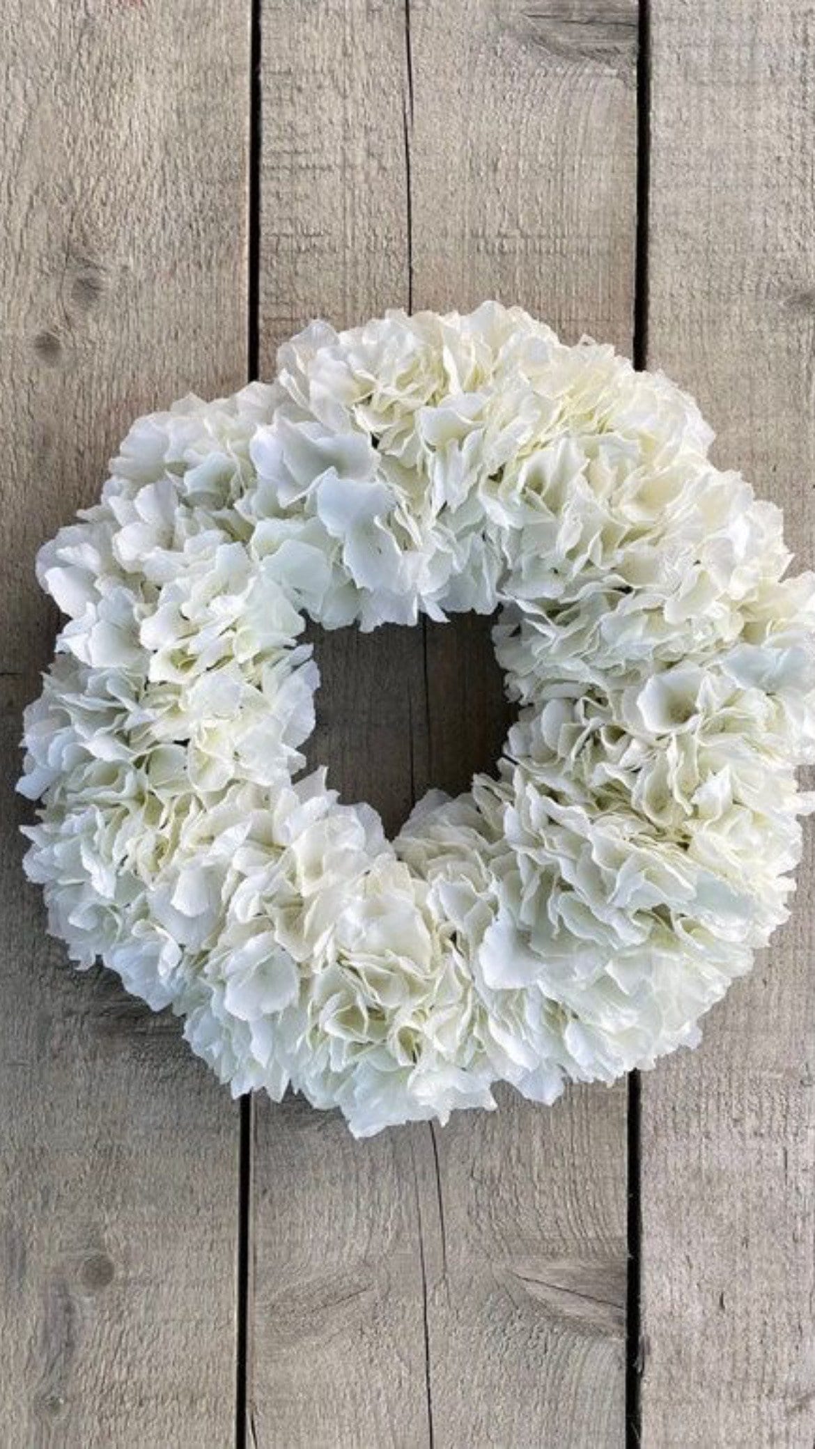 Hydrangea Snow Wreath