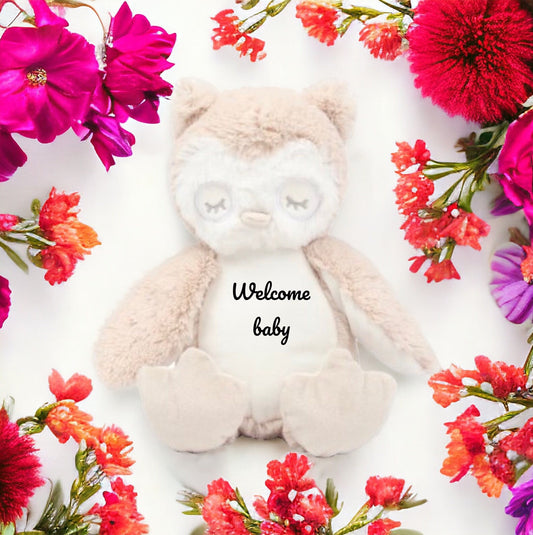 Baby Owl Plush gift / new baby gift / birthday gift / personalised gift