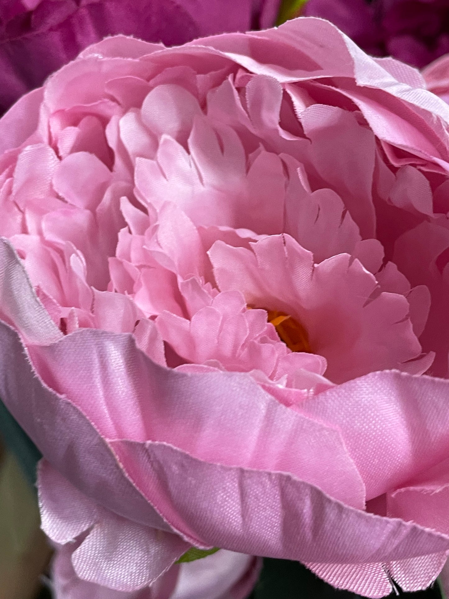 Peony Stems