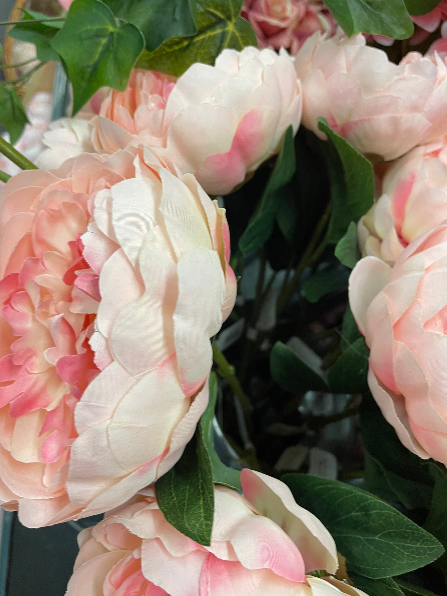 Peony Stems